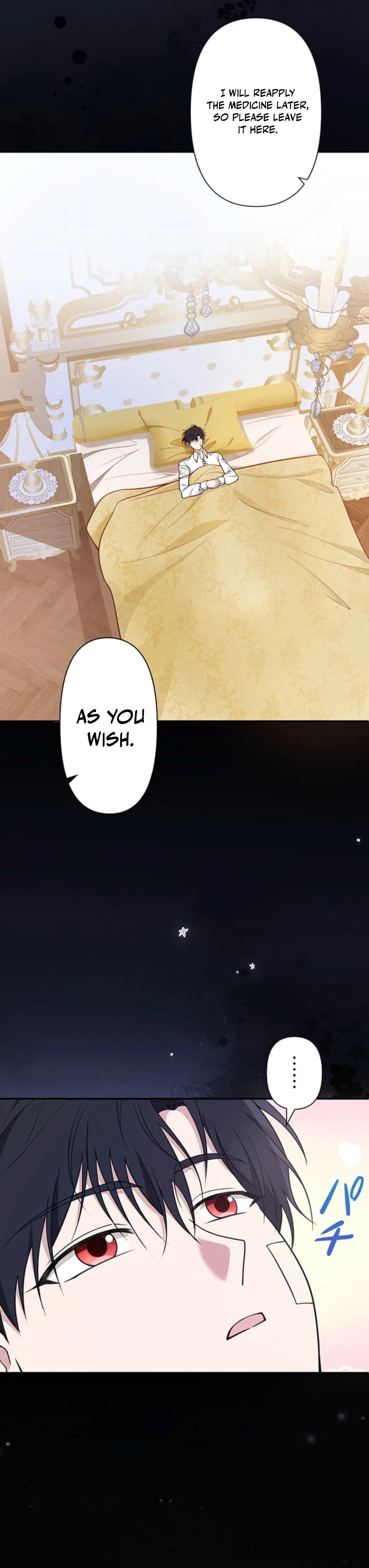 The Enemy King's Substitute Bride Chapter 25 page 45 - 