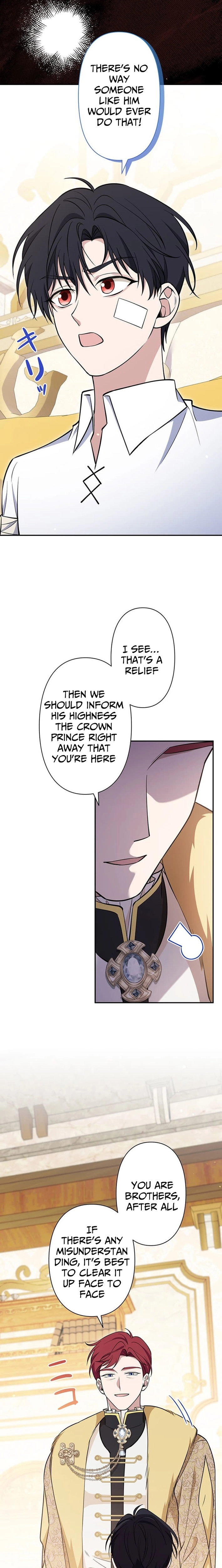 The Enemy King's Substitute Bride Chapter 26 page 18 - 