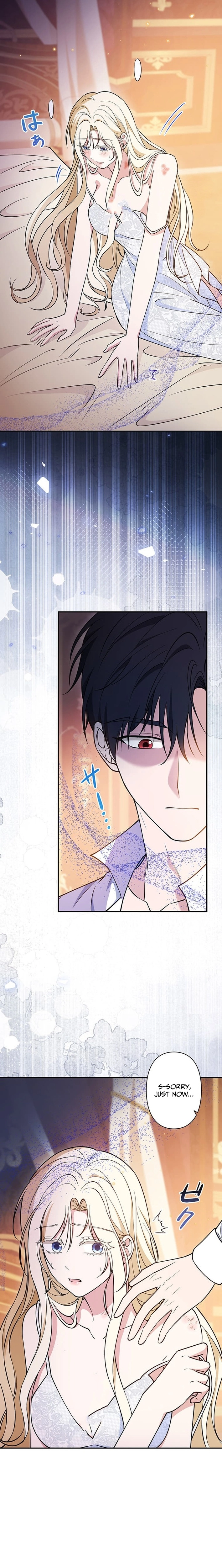 The Enemy King's Substitute Bride Chapter 28 page 17 - 