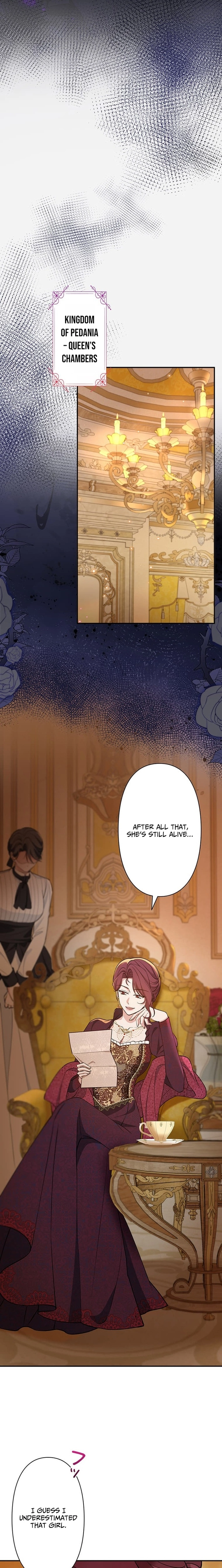 The Enemy King's Substitute Bride Chapter 28 page 29 - 