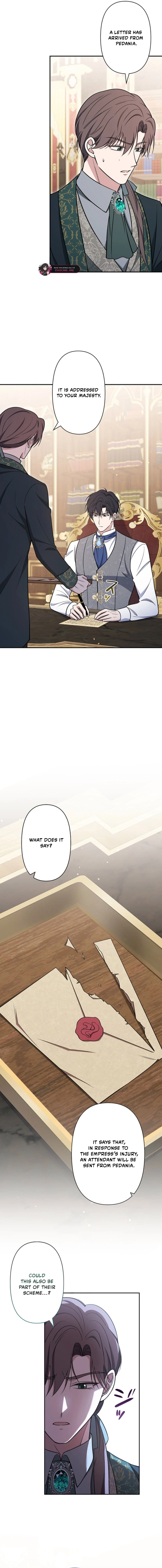 The Enemy King's Substitute Bride Chapter 29 page 2 - 