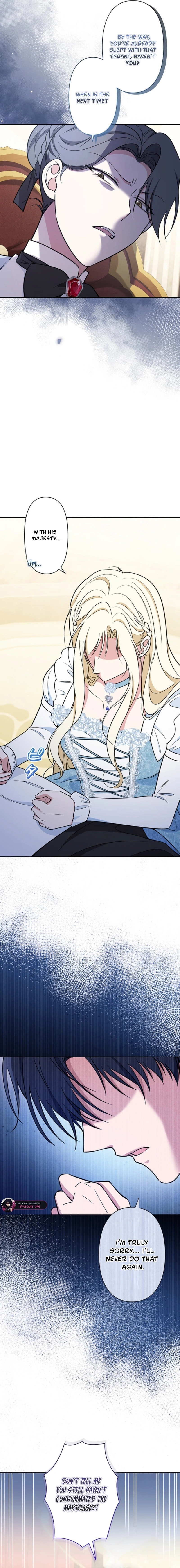 The Enemy King's Substitute Bride Chapter 29 page 21 - 