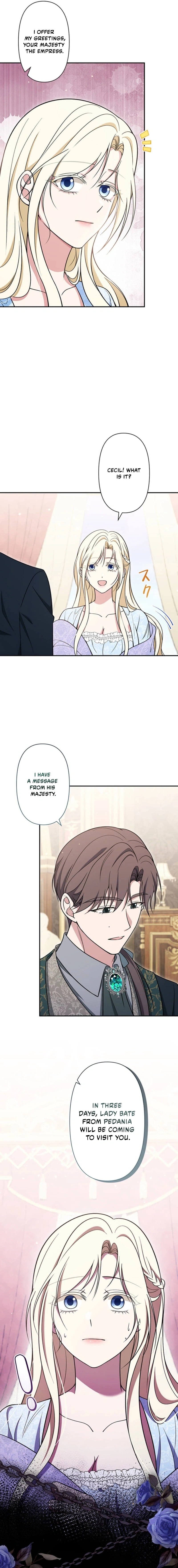 The Enemy King's Substitute Bride Chapter 29 page 5 - 