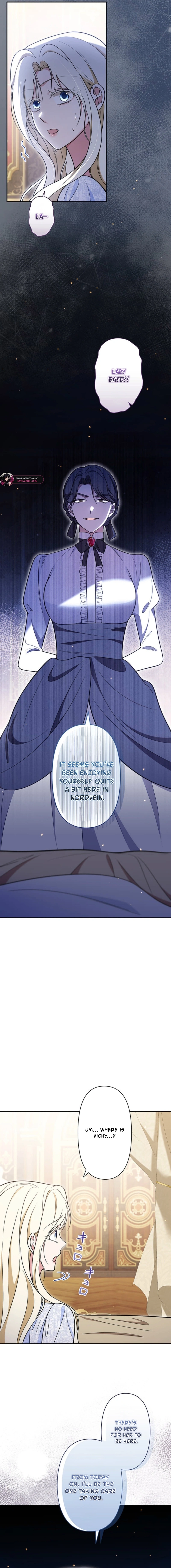 The Enemy King's Substitute Bride Chapter 29 page 9 - 