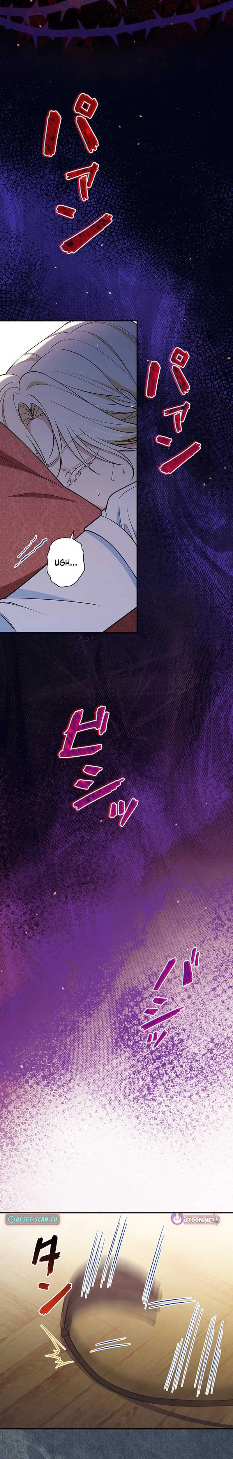 The Enemy King's Substitute Bride Chapter 30 page 12 - 