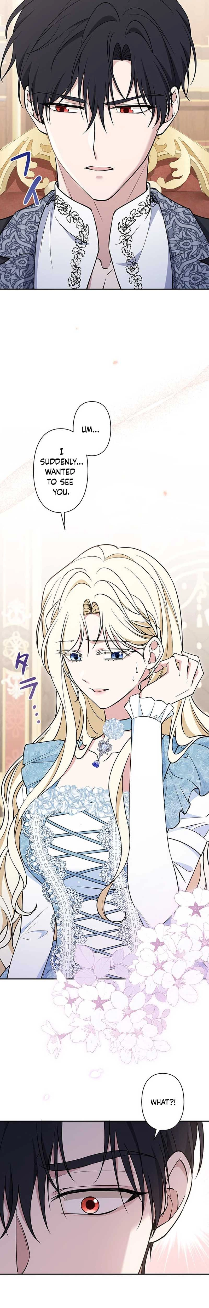 The Enemy King's Substitute Bride Chapter 30 page 5 - 