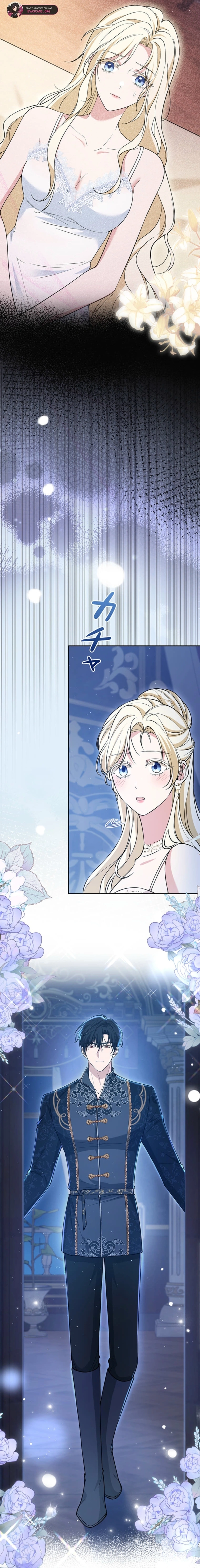 The Enemy King's Substitute Bride Chapter 31 page 17 - 