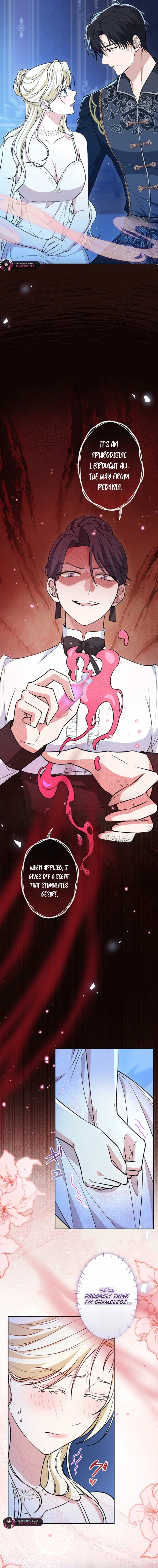 The Enemy King's Substitute Bride Chapter 31 page 20 - 