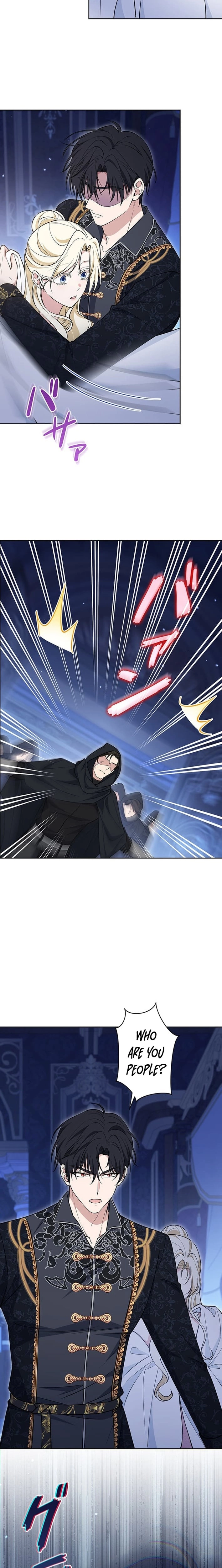 The Enemy King's Substitute Bride Chapter 32 page 17 - 