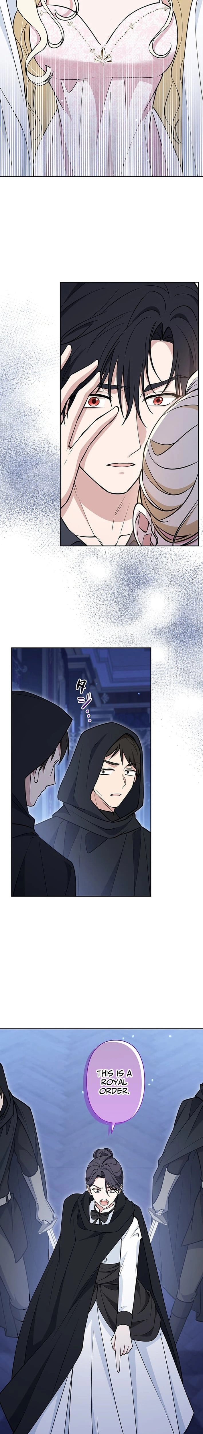 The Enemy King's Substitute Bride Chapter 32 page 23 - 