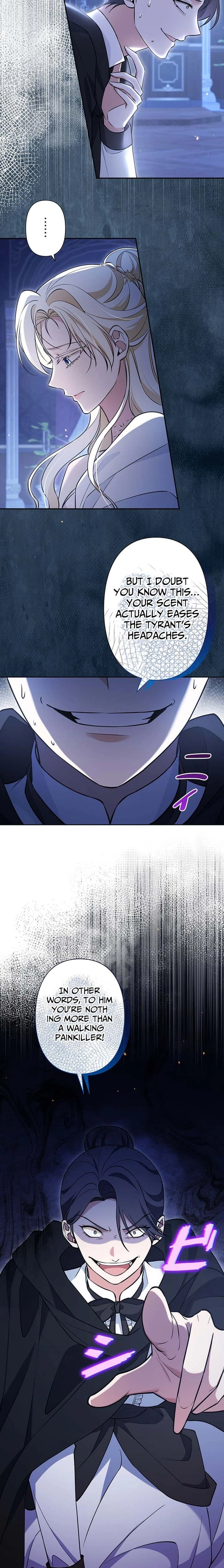 The Enemy King's Substitute Bride Chapter 33 page 13 - 