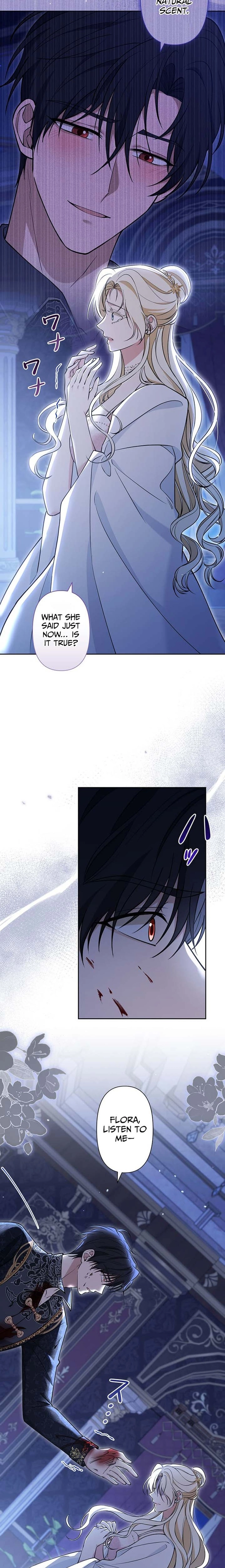 The Enemy King's Substitute Bride Chapter 33 page 17 - 