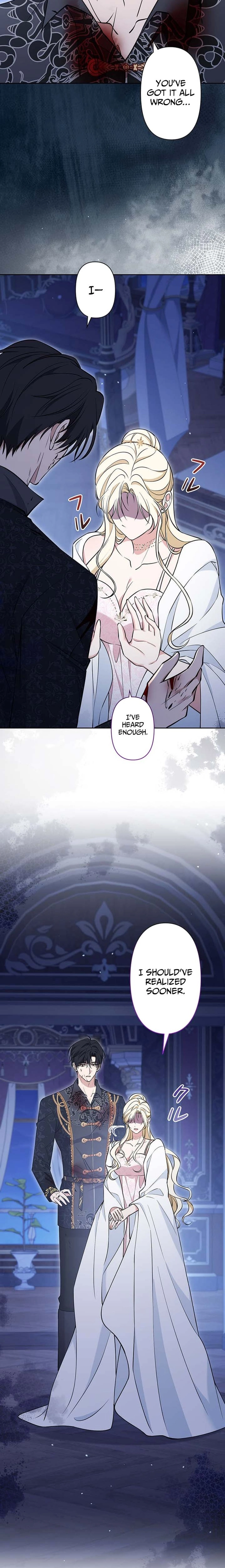 The Enemy King's Substitute Bride Chapter 33 page 19 - 