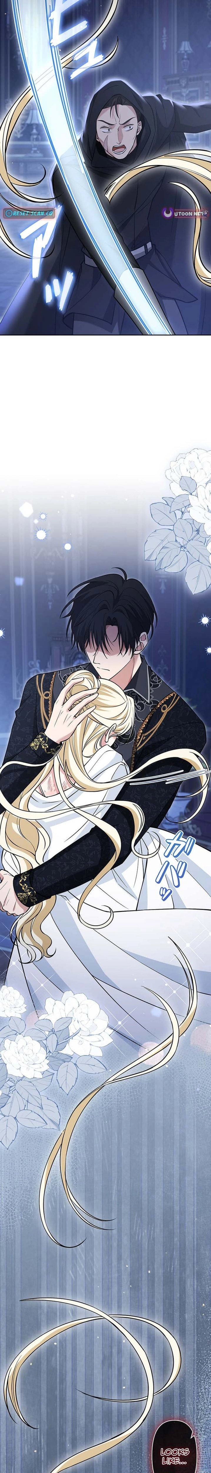 The Enemy King's Substitute Bride Chapter 33 page 5 - 