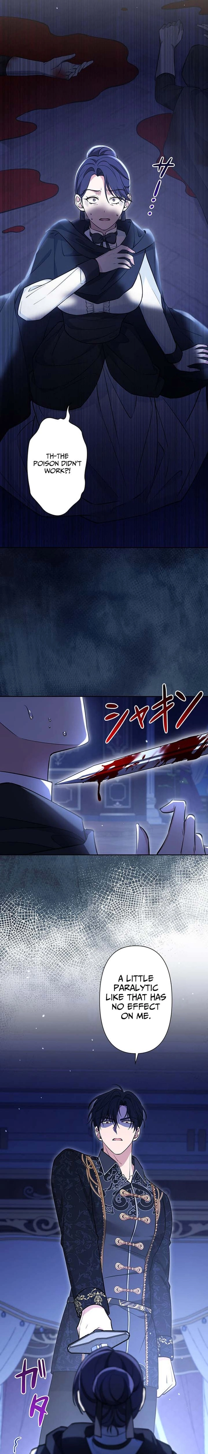 The Enemy King's Substitute Bride Chapter 33 page 9 - 