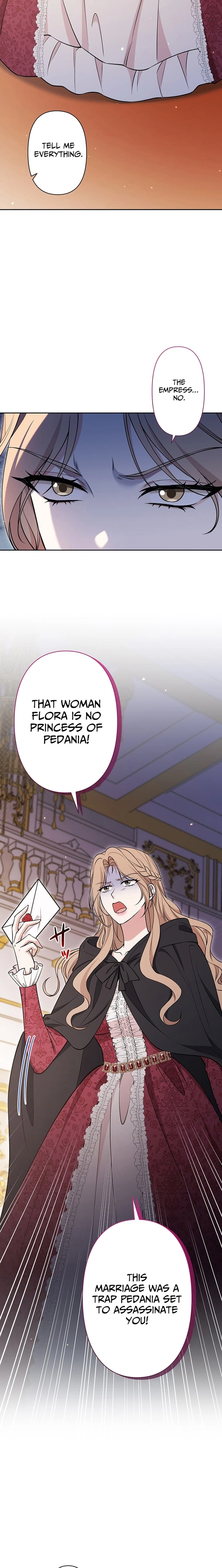 The Enemy King's Substitute Bride Chapter 35 page 3 - 