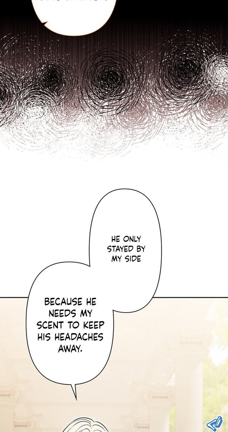The Enemy King's Substitute Bride Chapter 36 page 107 - 