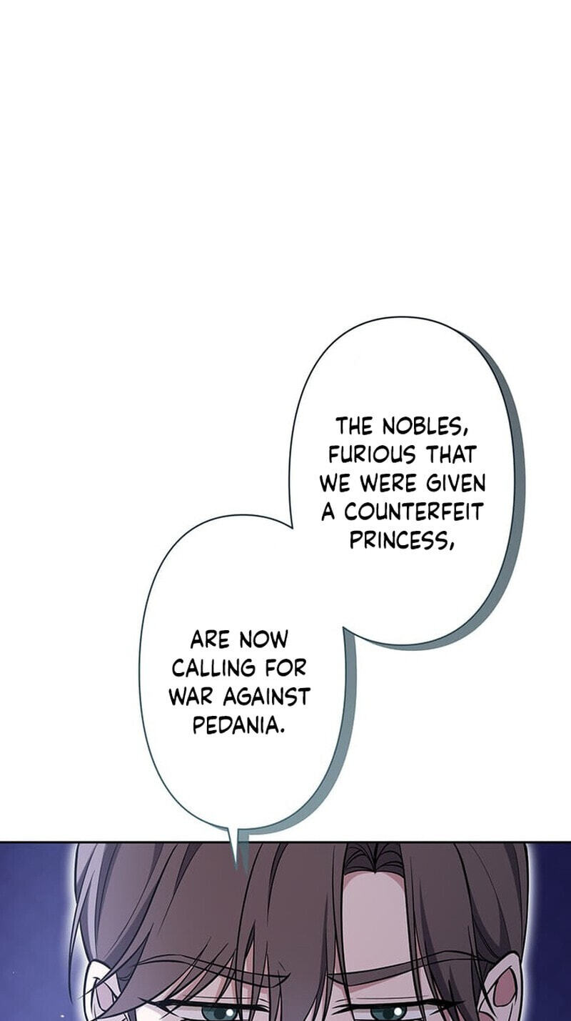The Enemy King's Substitute Bride Chapter 36 page 117 - 