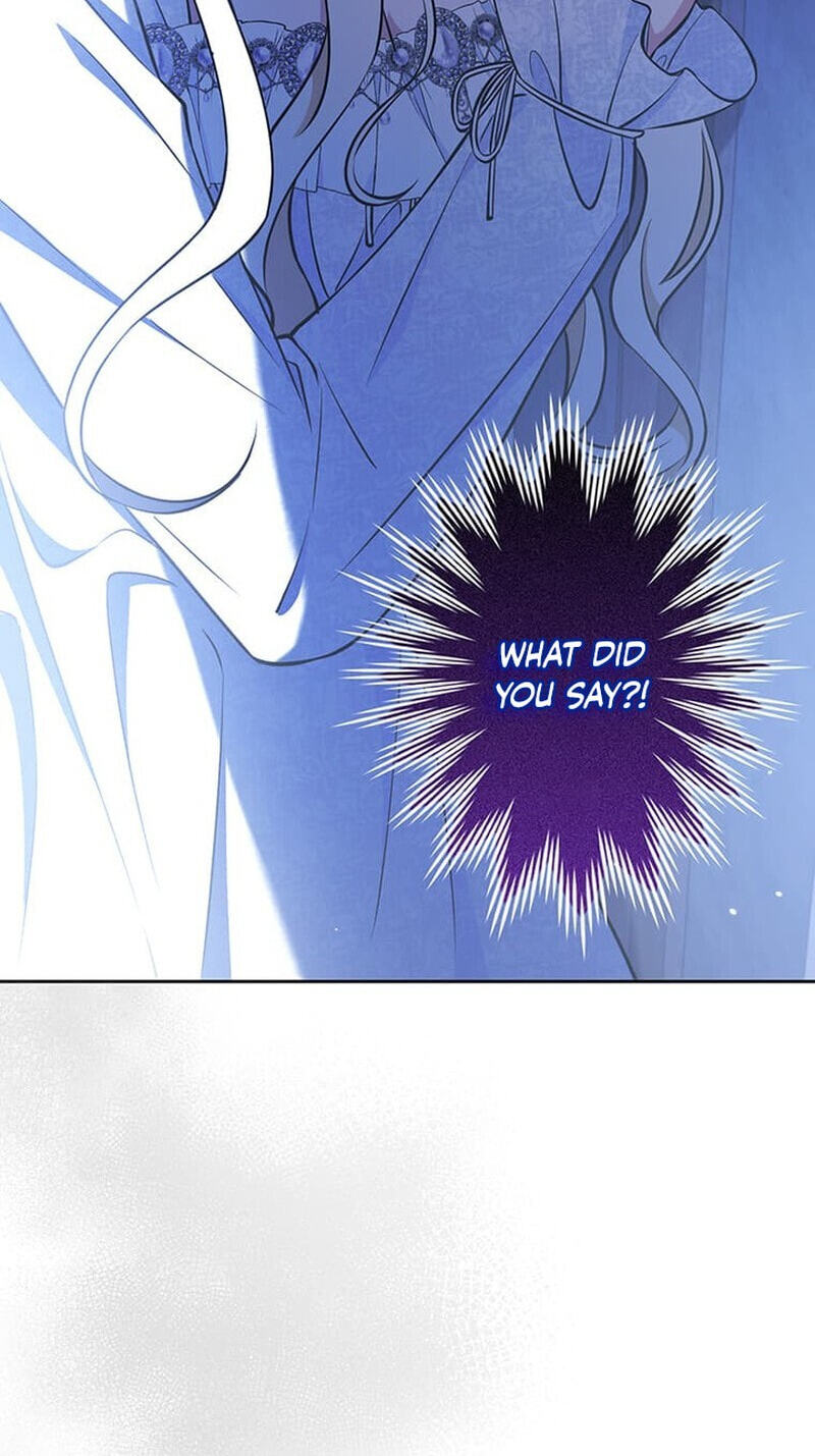 The Enemy King's Substitute Bride Chapter 36 page 120 - 