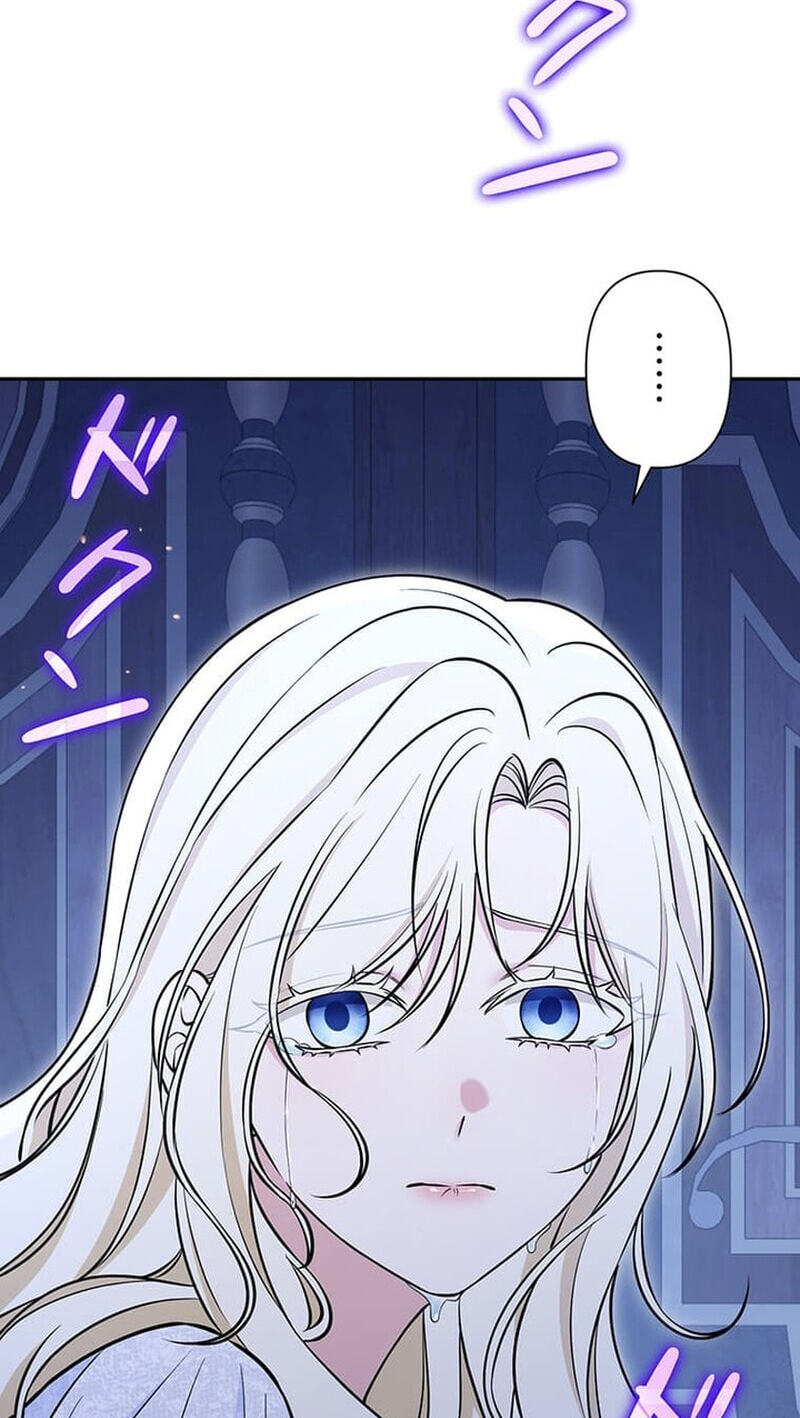 The Enemy King's Substitute Bride Chapter 36 page 127 - 