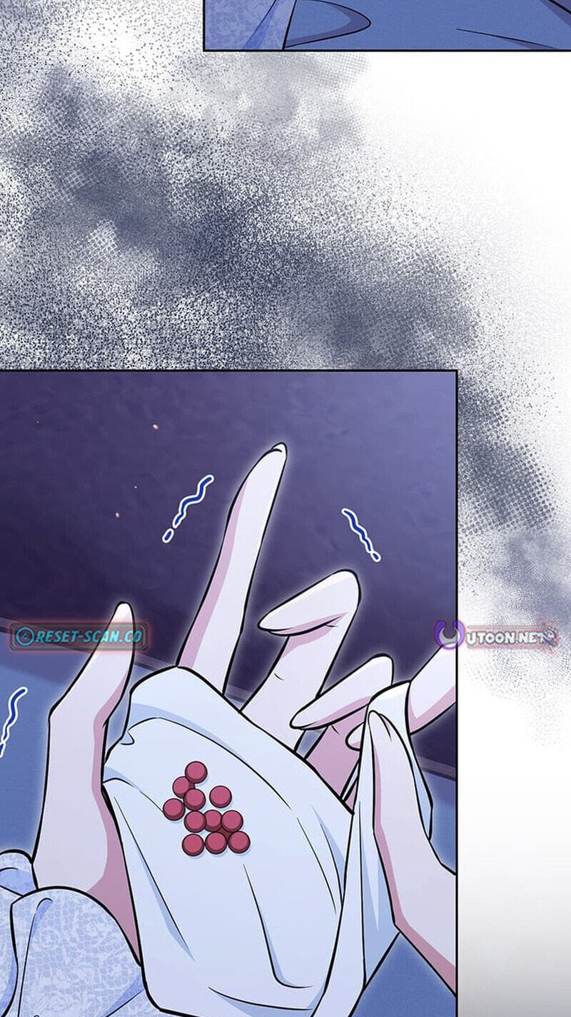 The Enemy King's Substitute Bride Chapter 36 page 131 - 