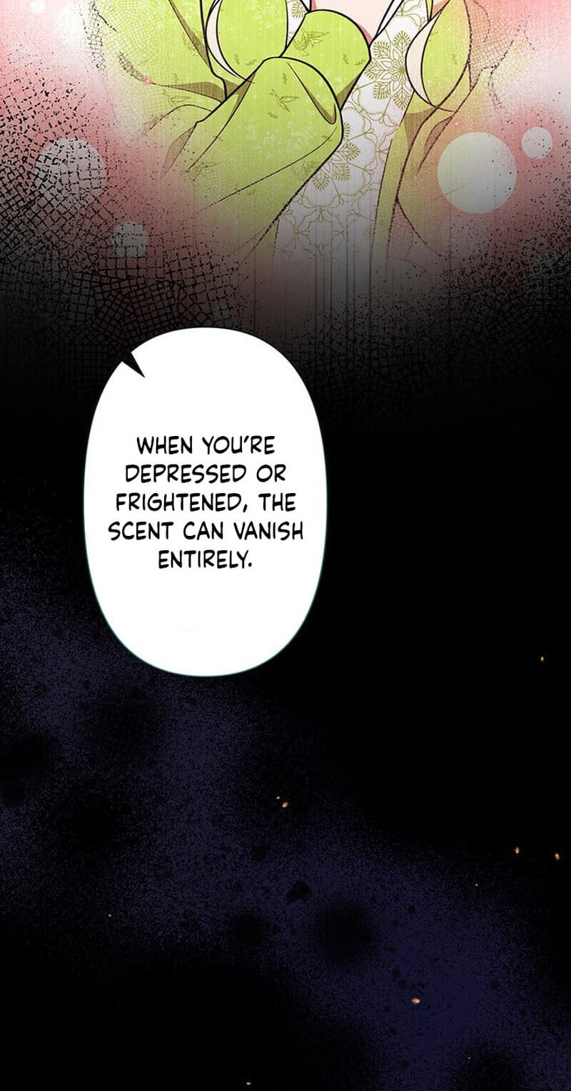 The Enemy King's Substitute Bride Chapter 36 page 27 - 