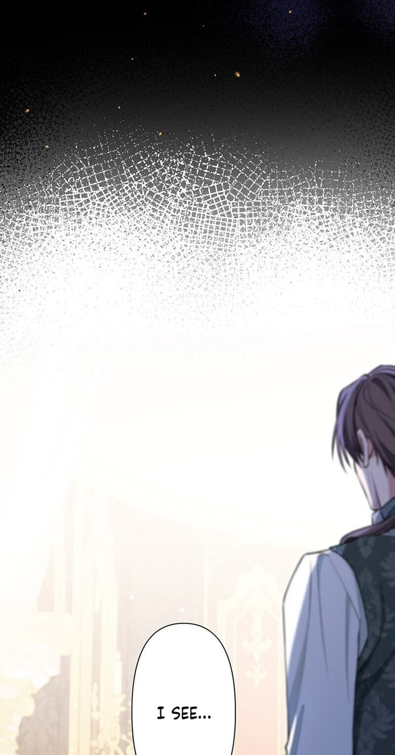 The Enemy King's Substitute Bride Chapter 36 page 28 - 