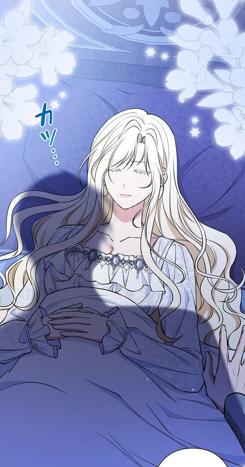 The Enemy King's Substitute Bride Chapter 36 page 45 - 