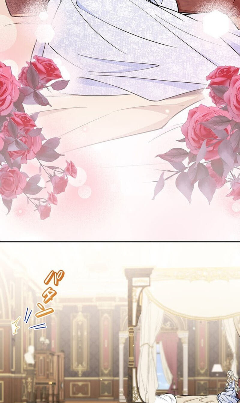The Enemy King's Substitute Bride Chapter 36 page 65 - 