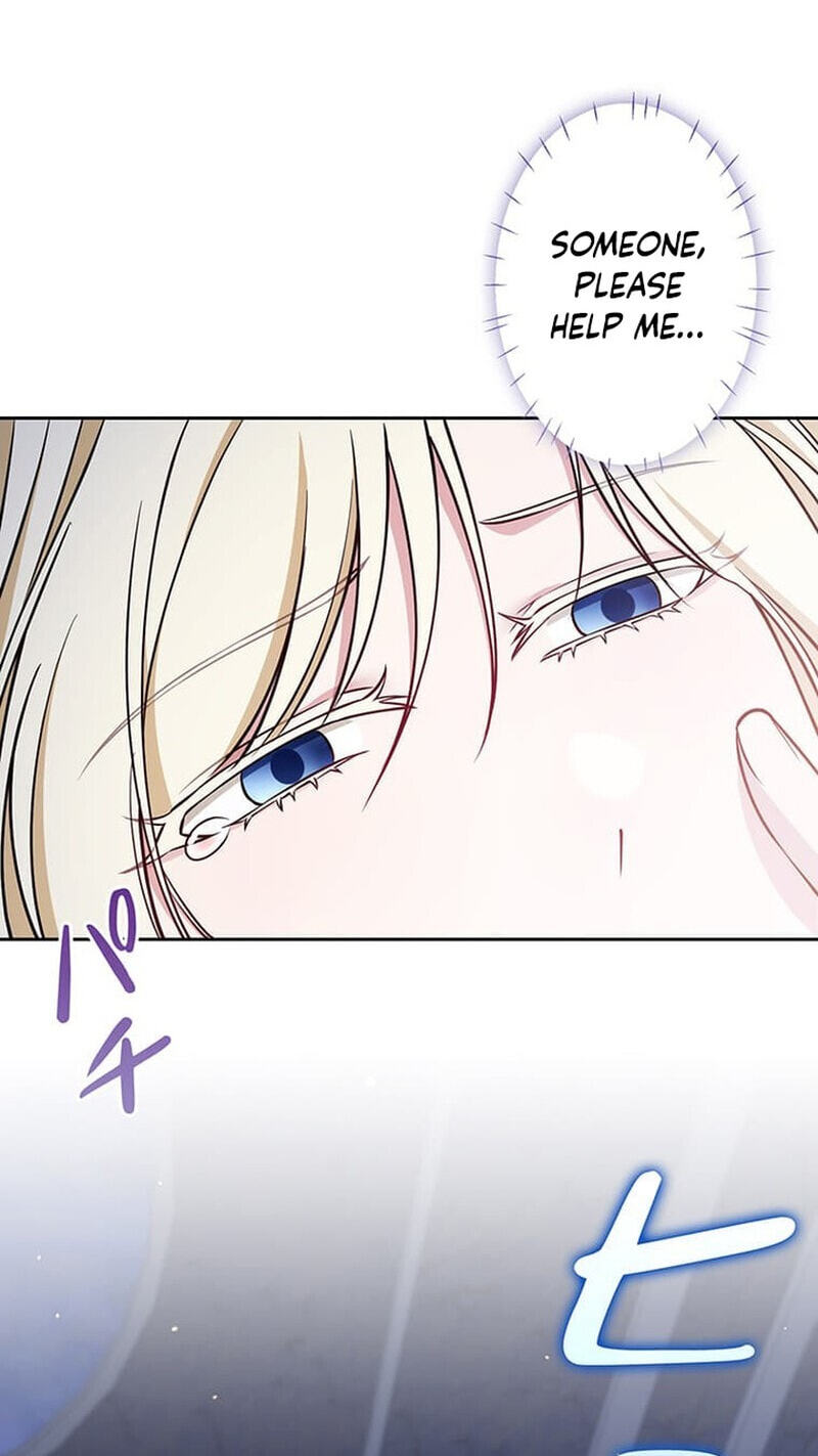 The Enemy King's Substitute Bride Chapter 36 page 75 - 
