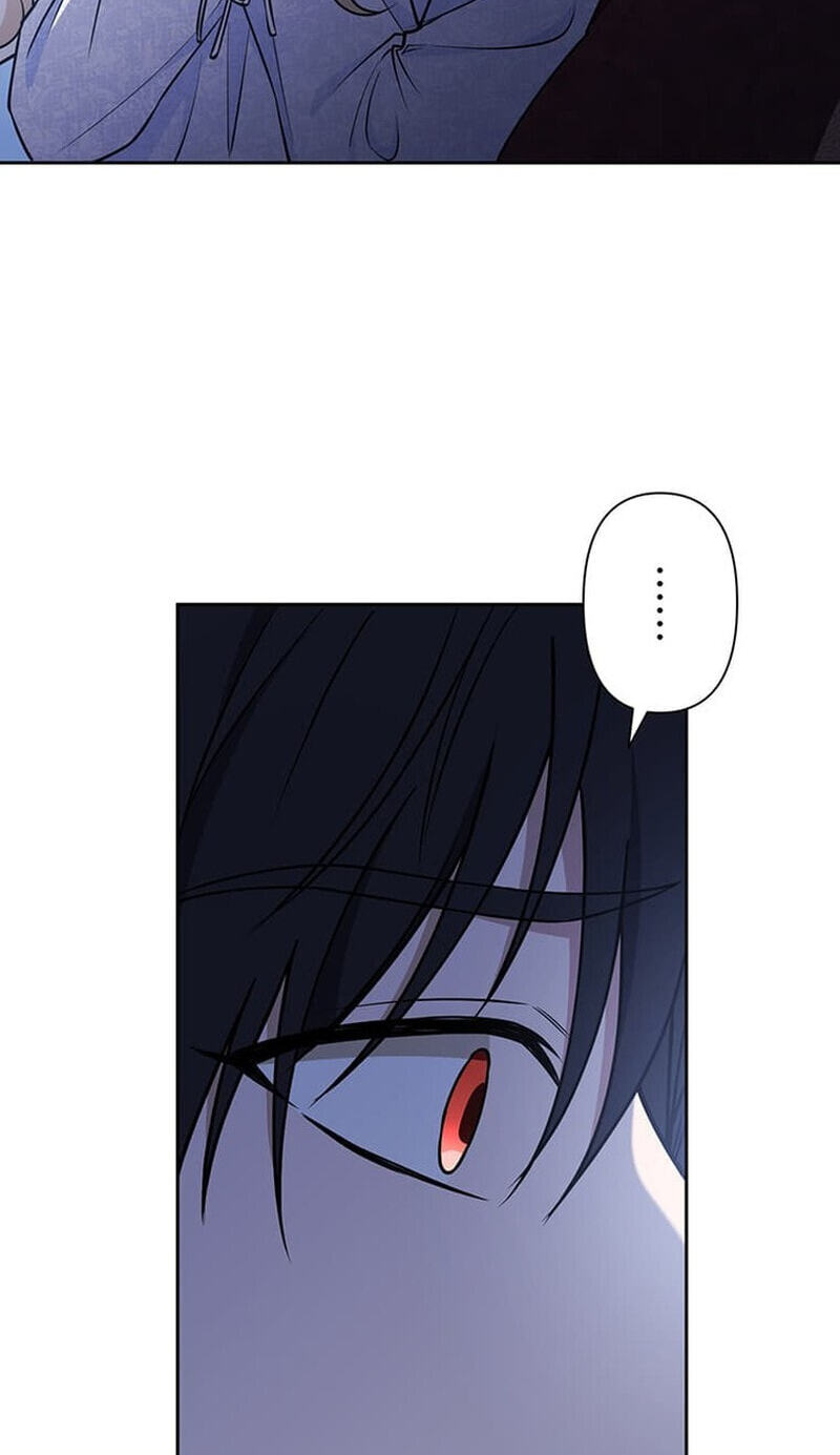 The Enemy King's Substitute Bride Chapter 36 page 82 - 