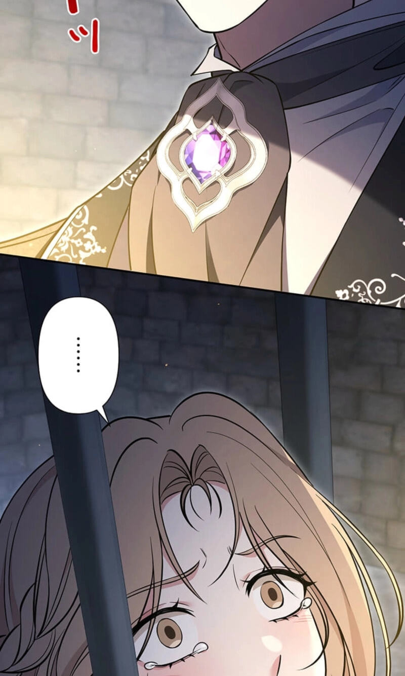 The Enemy King's Substitute Bride Chapter 37 page 102 - 