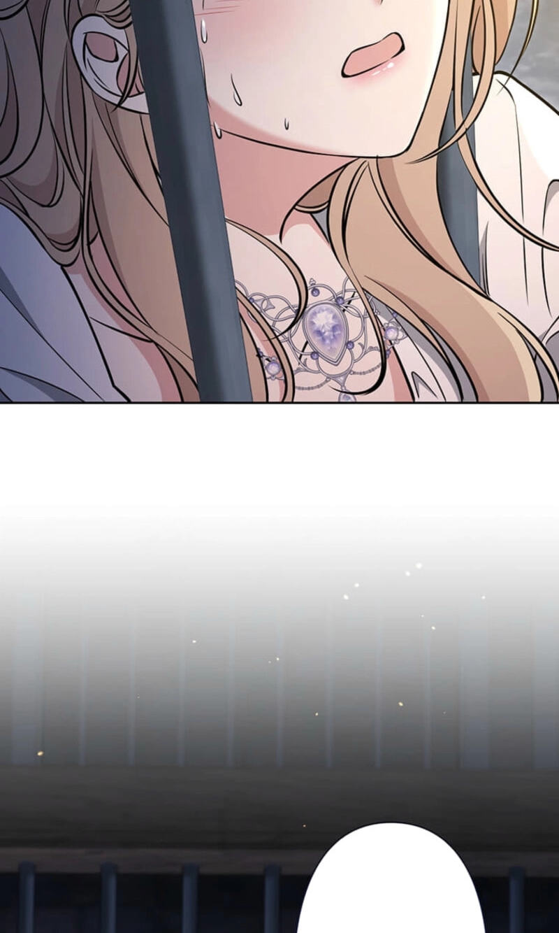 The Enemy King's Substitute Bride Chapter 37 page 103 - 