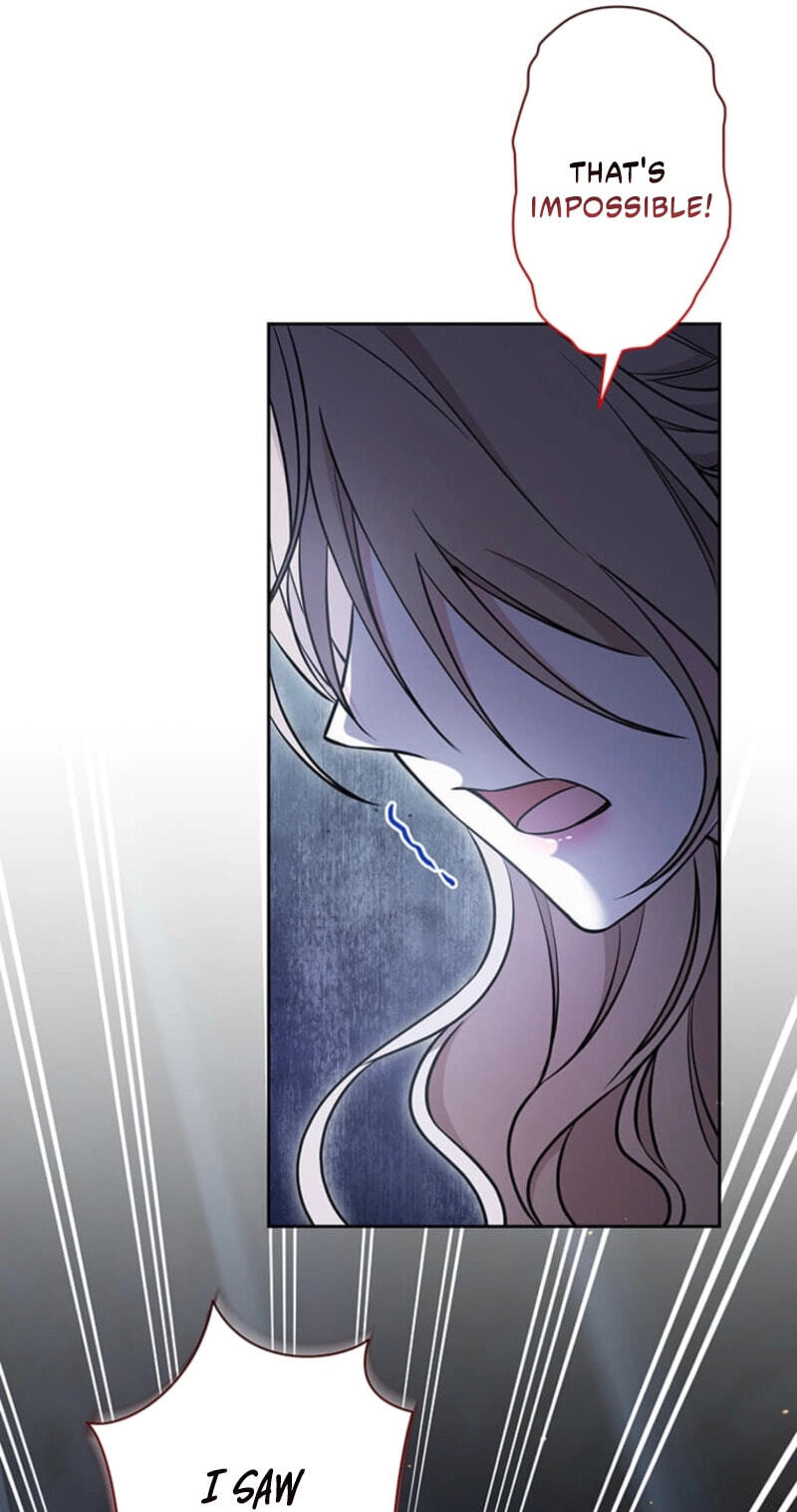 The Enemy King's Substitute Bride Chapter 37 page 110 - 