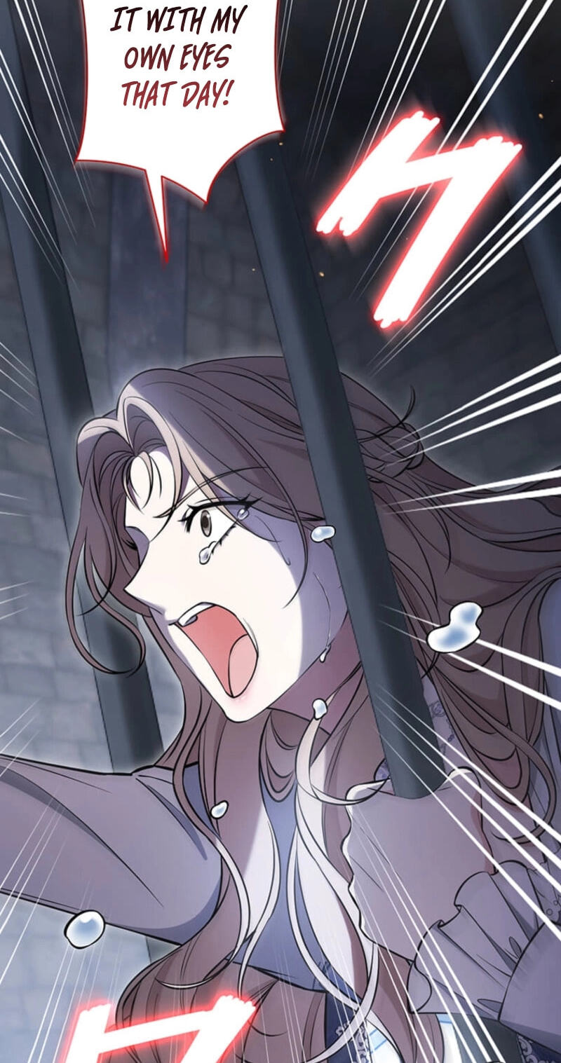The Enemy King's Substitute Bride Chapter 37 page 111 - 