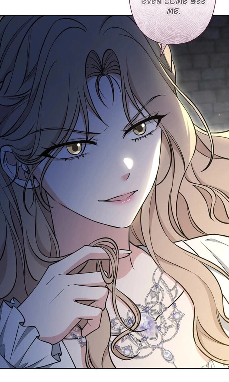 The Enemy King's Substitute Bride Chapter 37 page 13 - 