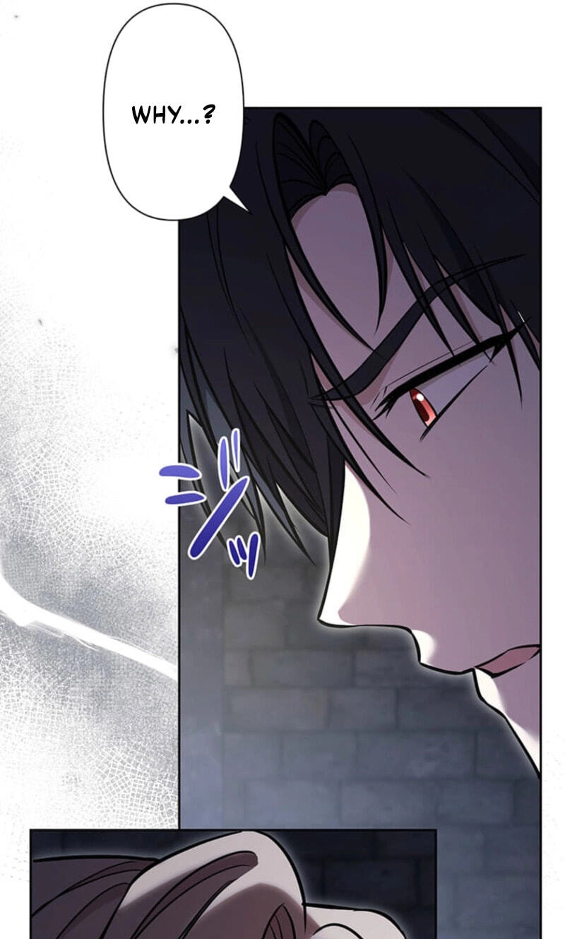 The Enemy King's Substitute Bride Chapter 37 page 20 - 