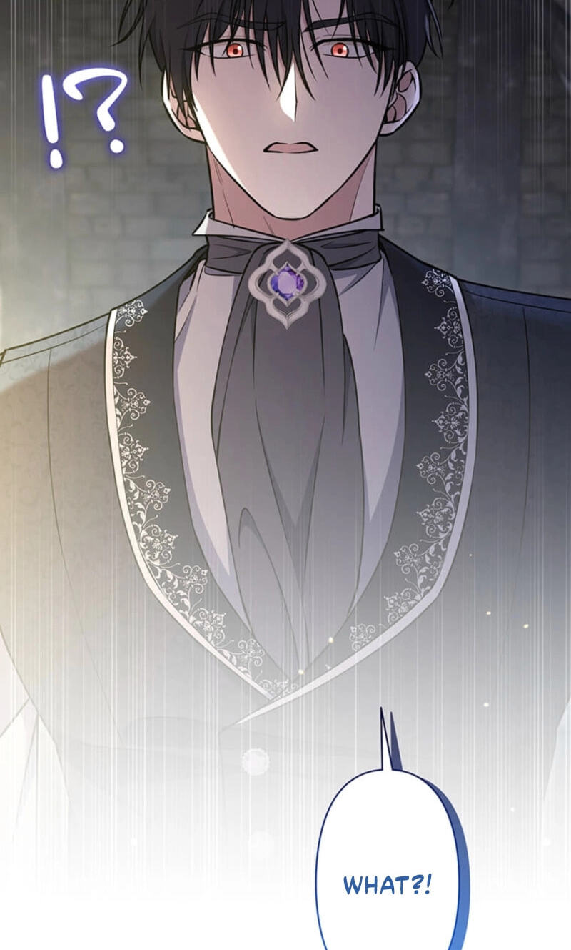 The Enemy King's Substitute Bride Chapter 37 page 23 - 