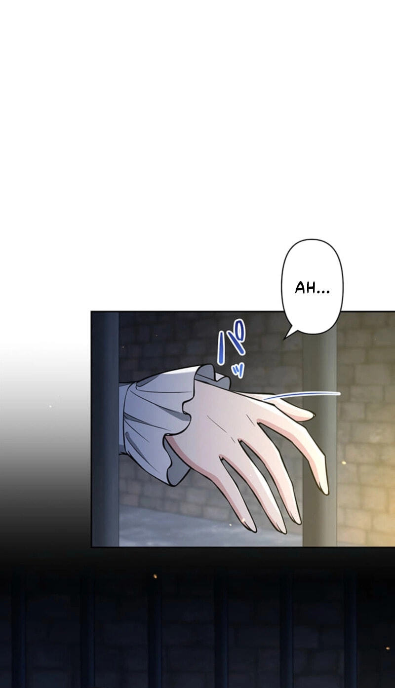The Enemy King's Substitute Bride Chapter 37 page 9 - 