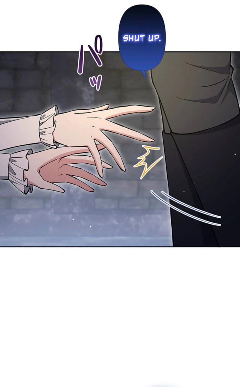 The Enemy King's Substitute Bride Chapter 37 page 100 - 