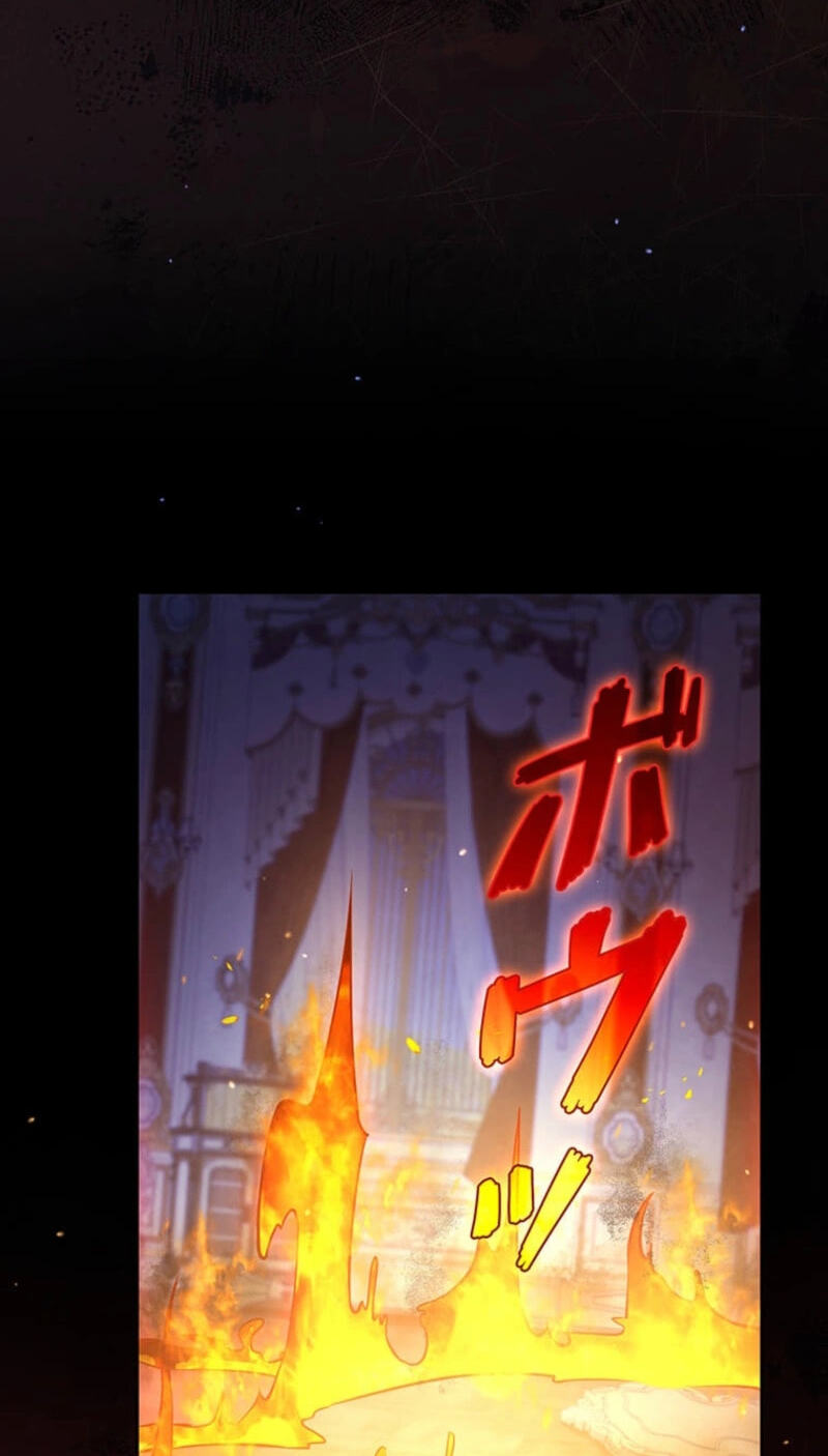 The Enemy King's Substitute Bride Chapter 38 page 13 - 