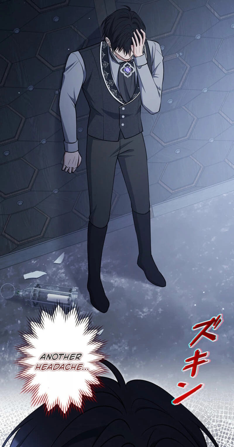 The Enemy King's Substitute Bride Chapter 38 page 3 - 