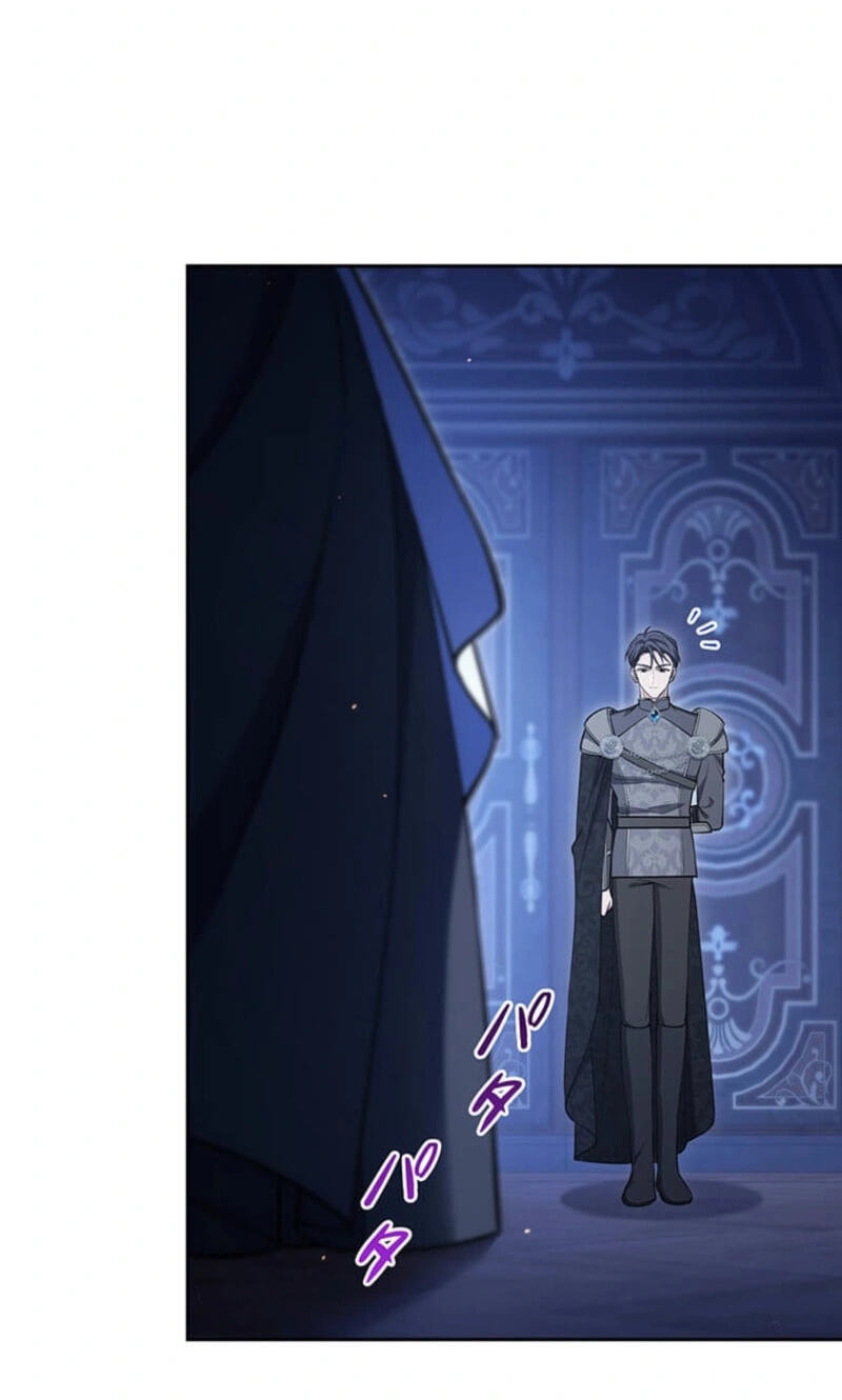 The Enemy King's Substitute Bride Chapter 38 page 26 - 