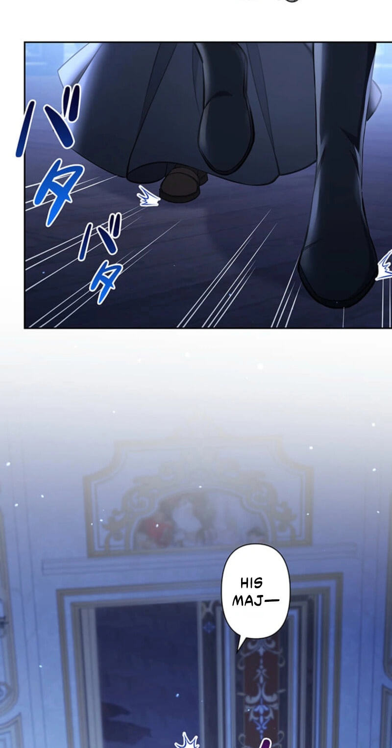 The Enemy King's Substitute Bride Chapter 38 page 35 - 