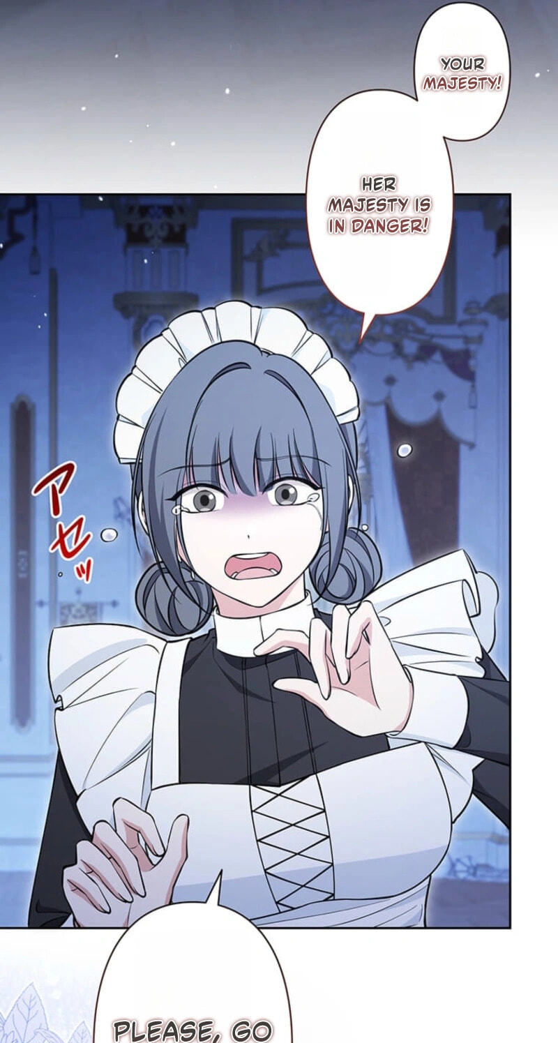 The Enemy King's Substitute Bride Chapter 38 page 45 - 