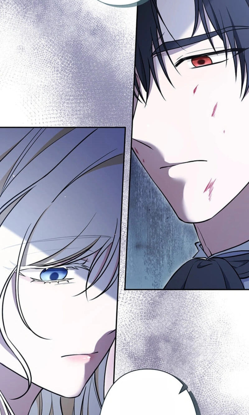 The Enemy King's Substitute Bride Chapter 38 page 63 - 
