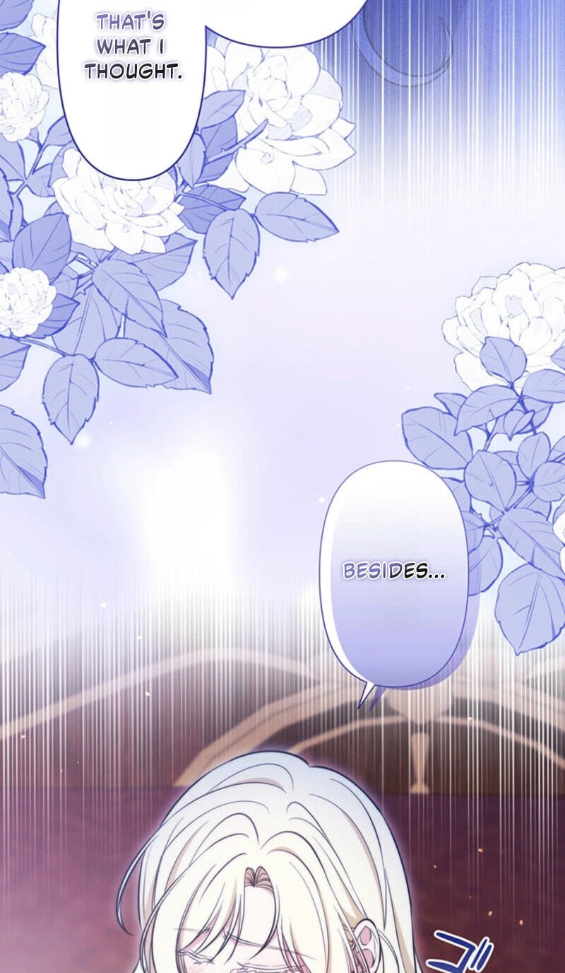 The Enemy King's Substitute Bride Chapter 38 page 91 - 