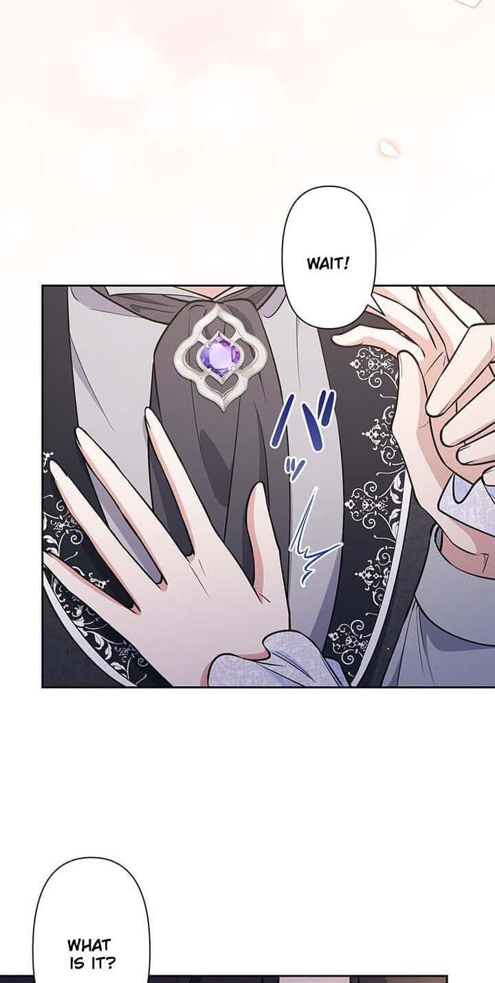The Enemy King's Substitute Bride Chapter 39 page 47 - 
