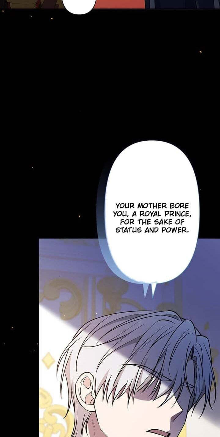 The Enemy King's Substitute Bride Chapter 39 page 73 - 