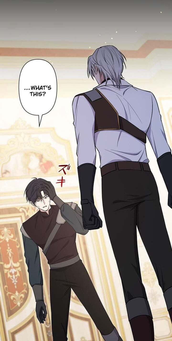The Enemy King's Substitute Bride Chapter 39 page 96 - 